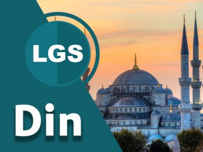 LGS-EXTRA-DIN-1